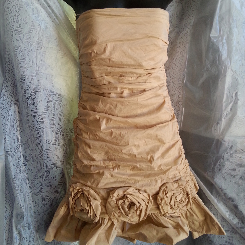 BCBG Champagne Strapless Ruched Cocktail Dress NWT